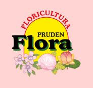 Logo Pruden Flora Floricultura